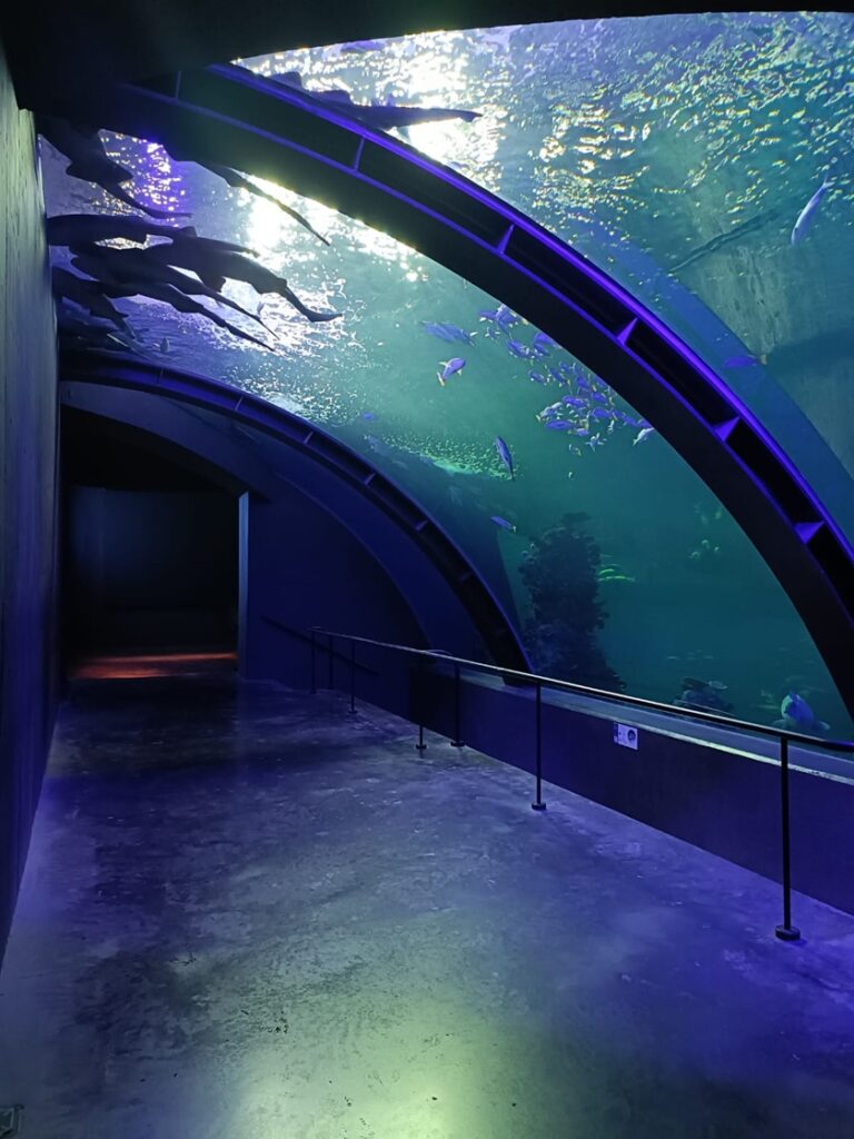 Gran Acuario de Mazatlán: una experiencia inolvidable con el océano