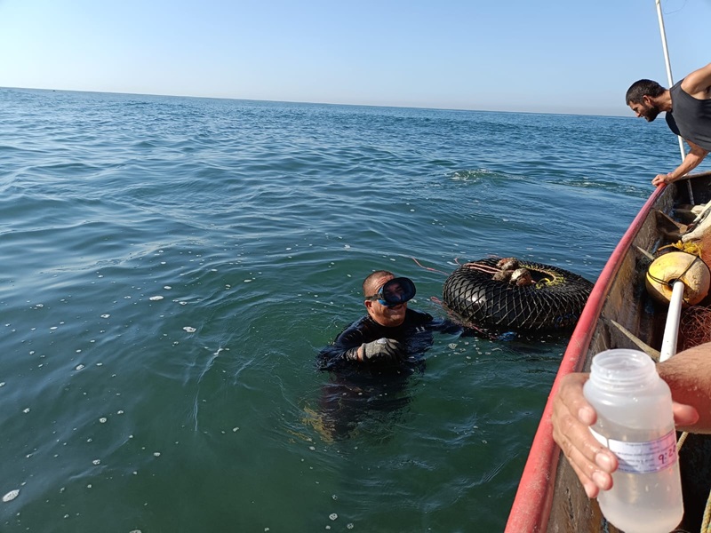 Refuerzan medidas sanitarias antes de la Feria del Ostión Celestino 2026