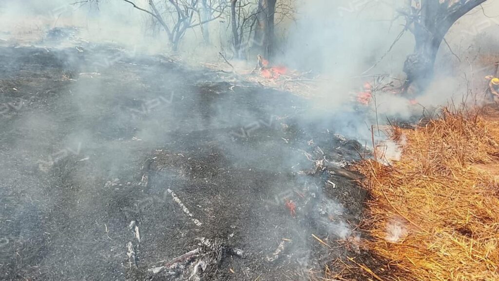Cabo Corrientes: Más de 2000 hectáreas devastadas por el fuego