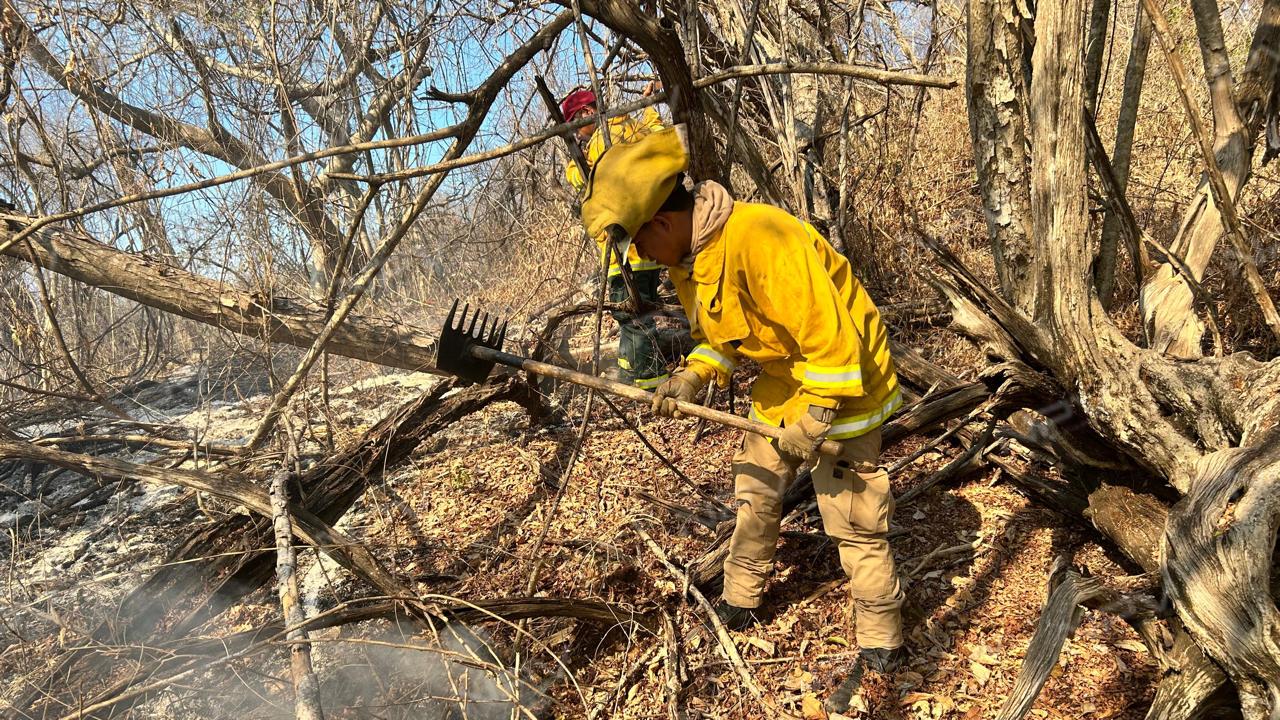 Intensa operación para extinguir el incendio en La Cruz de Huanacaxtle