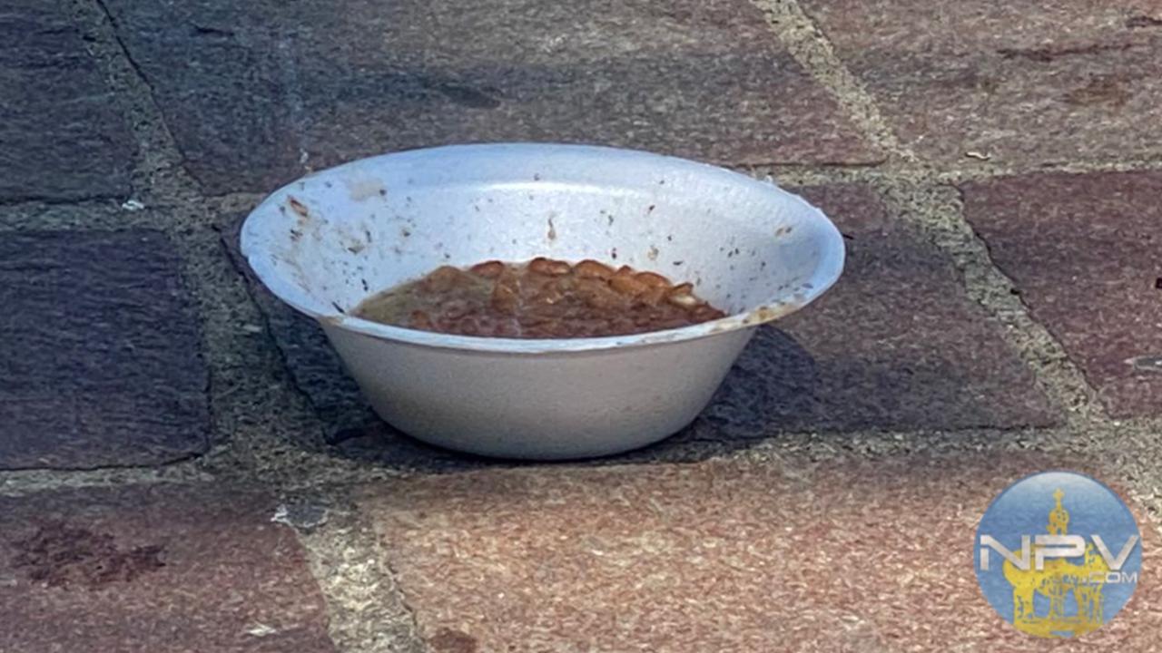 La basura alimentaria en el Parque Hidalgo causa descontento entre los vecinos