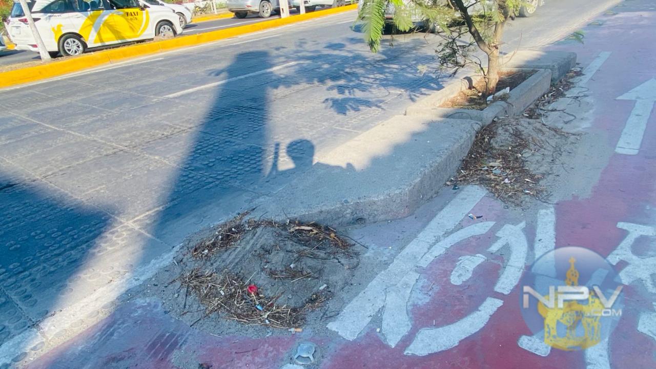 Las ciclovías de Puerto Vallarta: un llamado a la limpieza y el cuidado ambiental