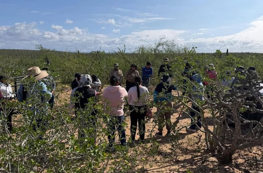 Llamadas anónimas revelan cinco tumbas clandestinas en Baja California Sur