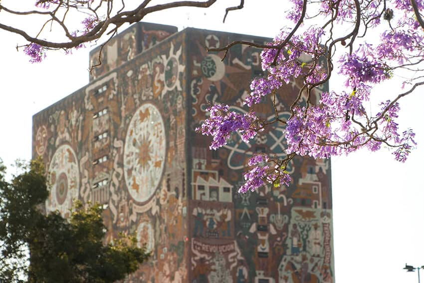 Semana en México: Arrancan las conversaciones del T-MEC mientras Sheinbaum apuesta por la economía digital